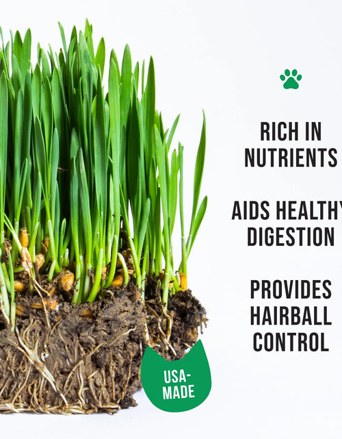 Load image into Gallery viewer, Organic Cat Grass Kit with Black Cat Ceramic Planter, Easy Indoor Planting Gift Set
