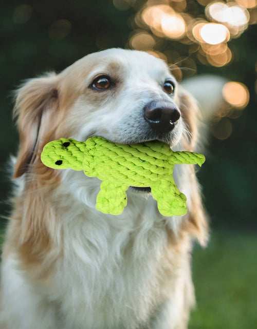 Load image into Gallery viewer, Pet Cotton Rope Toy Small Turtle Molars Boredom Dog Toy Pet Toy
