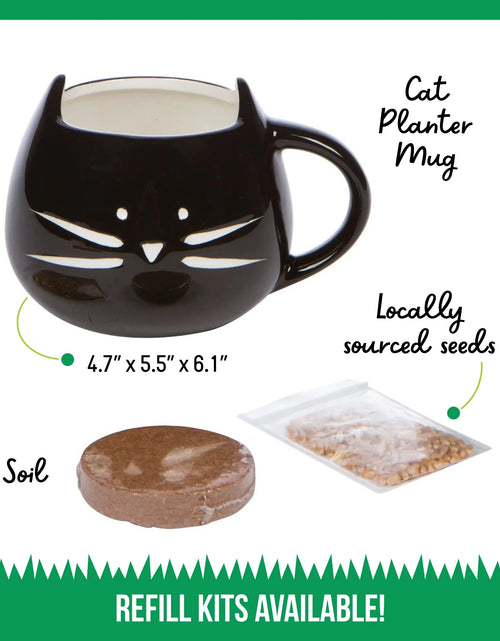 Load image into Gallery viewer, Organic Cat Grass Kit with Black Cat Ceramic Planter, Easy Indoor Planting Gift Set
