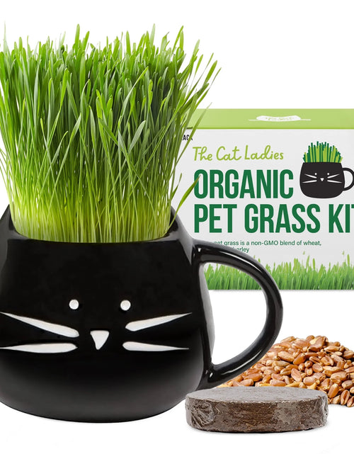 Load image into Gallery viewer, Organic Cat Grass Kit with Black Cat Ceramic Planter, Easy Indoor Planting Gift Set
